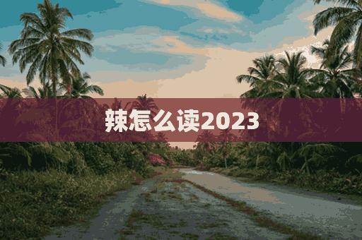 辣怎么读2023